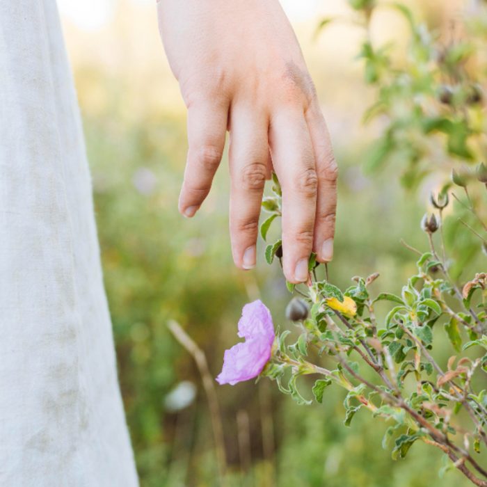 498bd514759c711e76e59217cf8024367f5c451f (1)